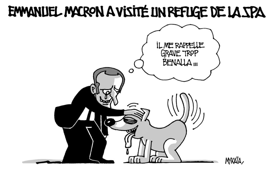 Emmanuel Macron visite un refuge de la SPA
