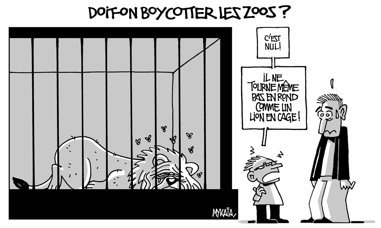 Doit-on boycotter les zoos ?