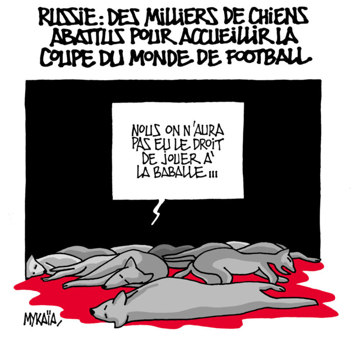 Russie : des milliers de chiens abattus pour accueillir la coupe du monde de football
