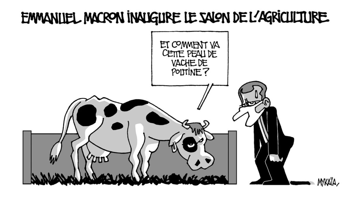 Emmannuel Macron inaugure le salon de l'agriculture